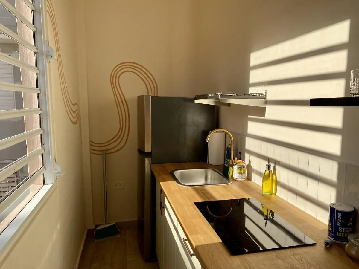 Sun-Drenched And Central Apartment In Santurce With Parking Apt 8 圣胡安